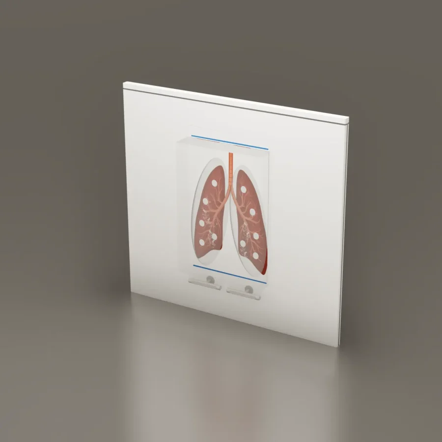 Rex Instruments Lung Respiratory System – nano